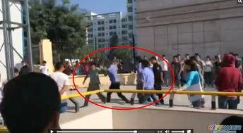 兰州某大学最新爆料,揭秘校园内幕与真实故事